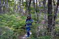 Bosque Chileno Patagonico