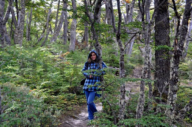 Bosque Chileno Patagonico