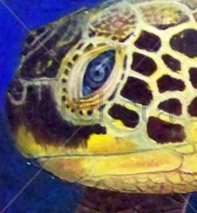 Tortuga de carey (detalle)