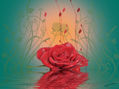 La rosa en el agua
