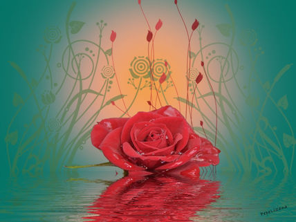 La rosa en el agua