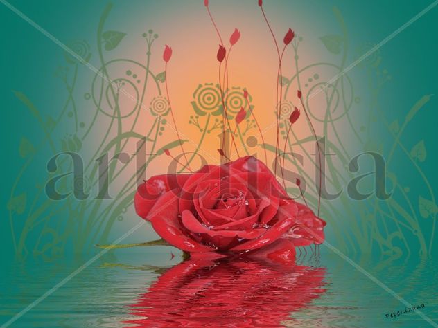 La rosa en el agua