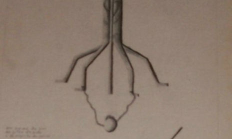 MEUS DESENHOS
