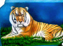 Tigre