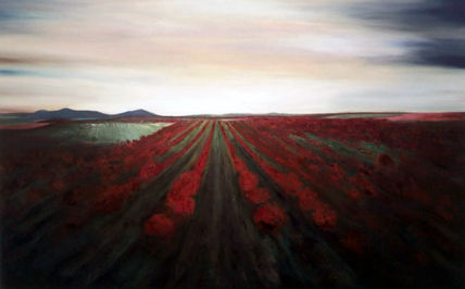 Atardecer en el campo