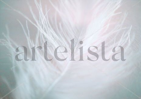 Abstracto