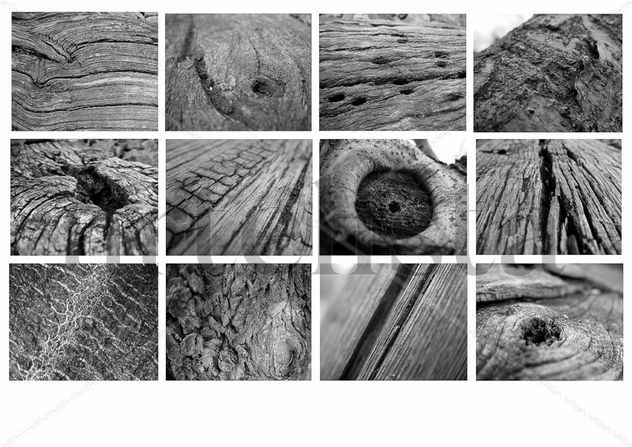 Texturas