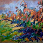 PETRI CALLEJA thumbnail 1