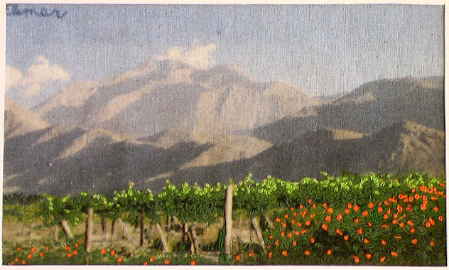 Viñedos en los aledaños de Vicuña