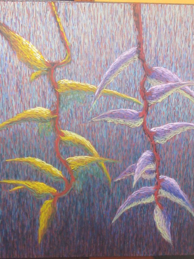 heliconia