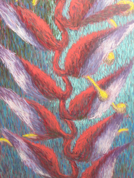 Heliconia