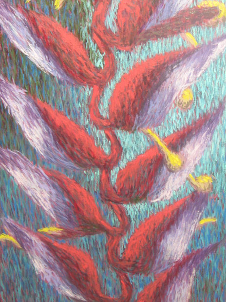 Heliconia