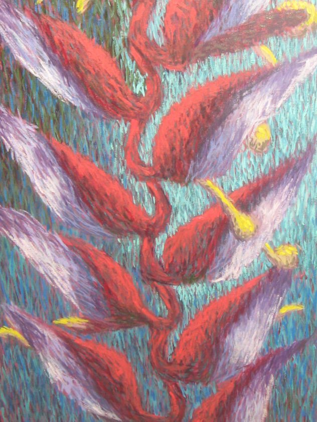 heliconia