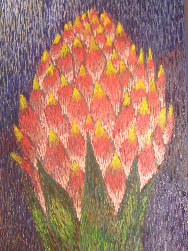 bromelia