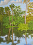 CAÑO SURIA, VILLAVICENCIO