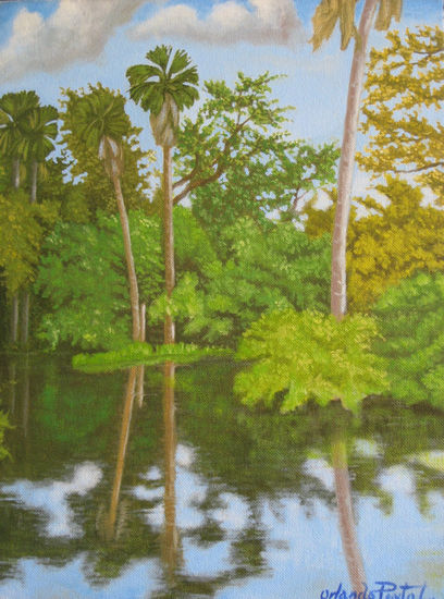 CAÑO SURIA, VILLAVICENCIO Oil Canvas Landscaping