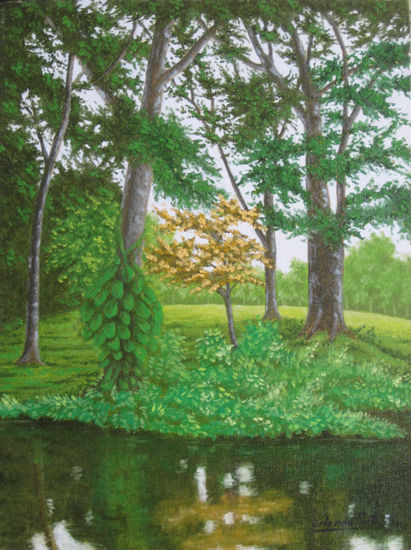 CAÑO EN CASTILLA LA NUEVA Oil Canvas Landscaping