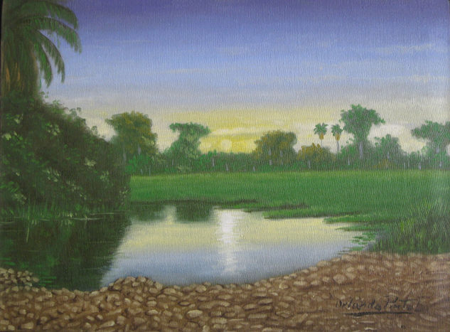 CAÑO EN CAMPO SURIA Oil Canvas Landscaping