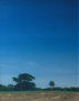 PAISAJE GUAJIRO