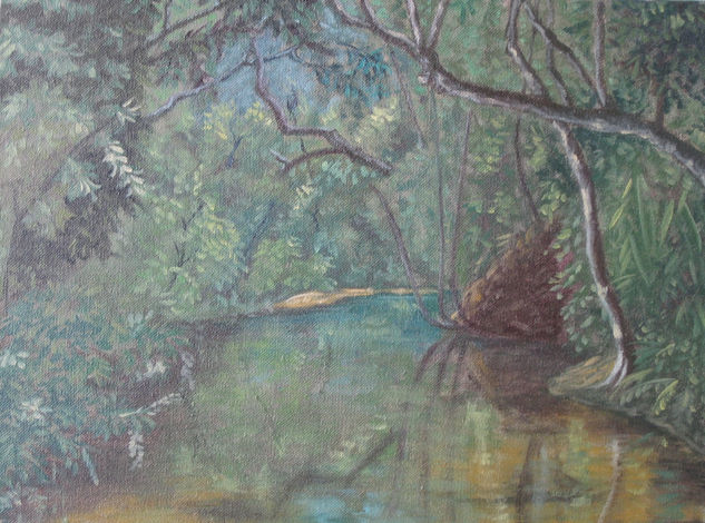 CAÑO EN ORITO Oil Canvas Landscaping