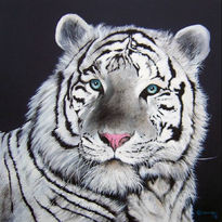 Tigre branco