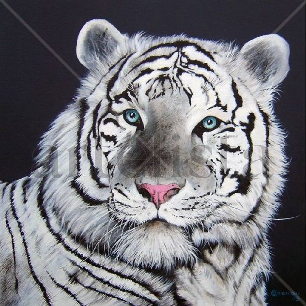 tigre branco