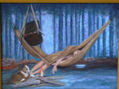 siesta