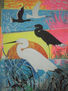 AVES
