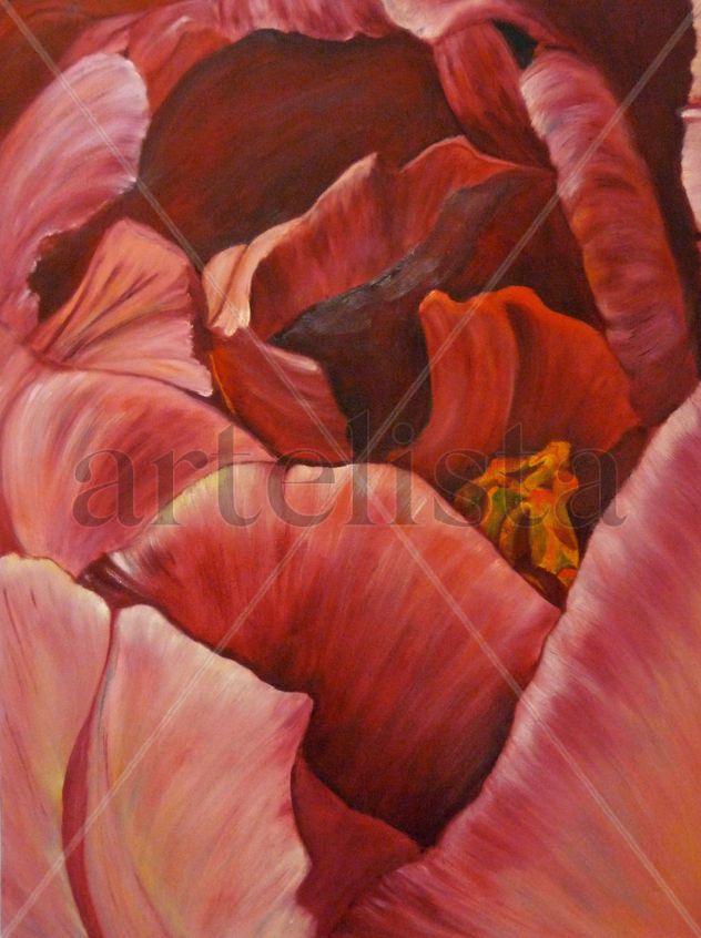 Tulipán 1