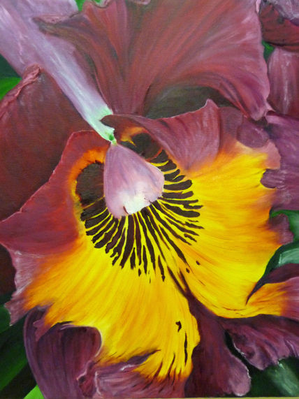 Orquídea