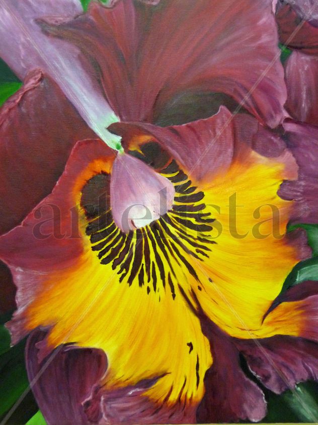 Orquídea