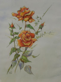 Rosas i