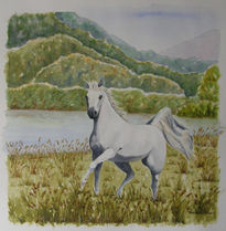 Caballo