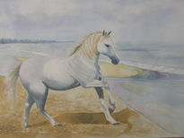 Caballito de mar