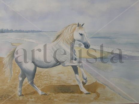 Caballito de mar