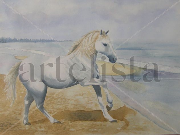 CABALLITO DE MAR