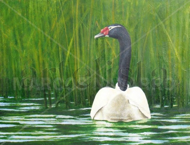 Cisne Óleo Tabla Animales