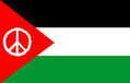 PAZ PALESTINA