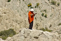 Musica en el Valle...