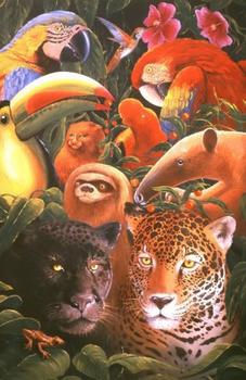 Amazonia Oil Canvas Animals