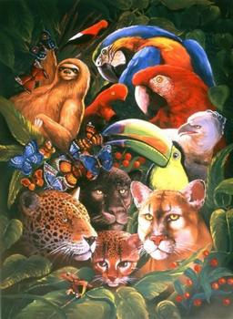 Amazonia Oil Canvas Animals