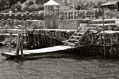Muelle.