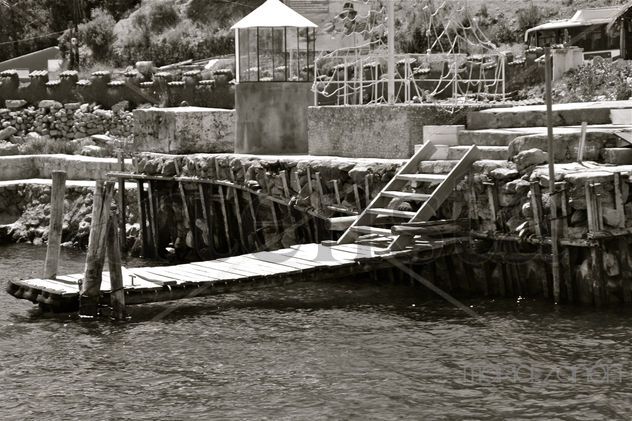 Muelle.