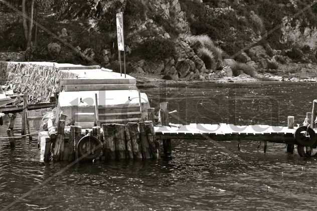 Muelle II.