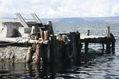 Muelle III.