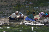 Limpiando pescado...