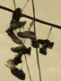 ZAPATILLAS