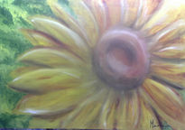 Girasol