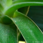 Abstracción thumbnail 1