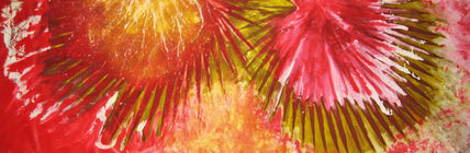 Palmera